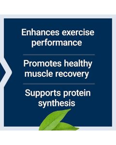Muscle recovery amino acid capsules bottle on white background